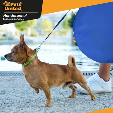 Тунель для собак Agility 500x60 см з кілками і сумкою, ігровий тунель для дресирування та спорту