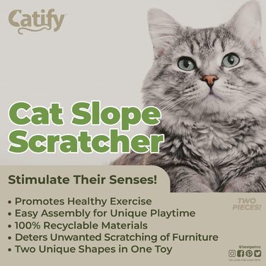 Кігтеточка для котів з котячою м'ятою, 2 шт, Best Pet Supplies Catify