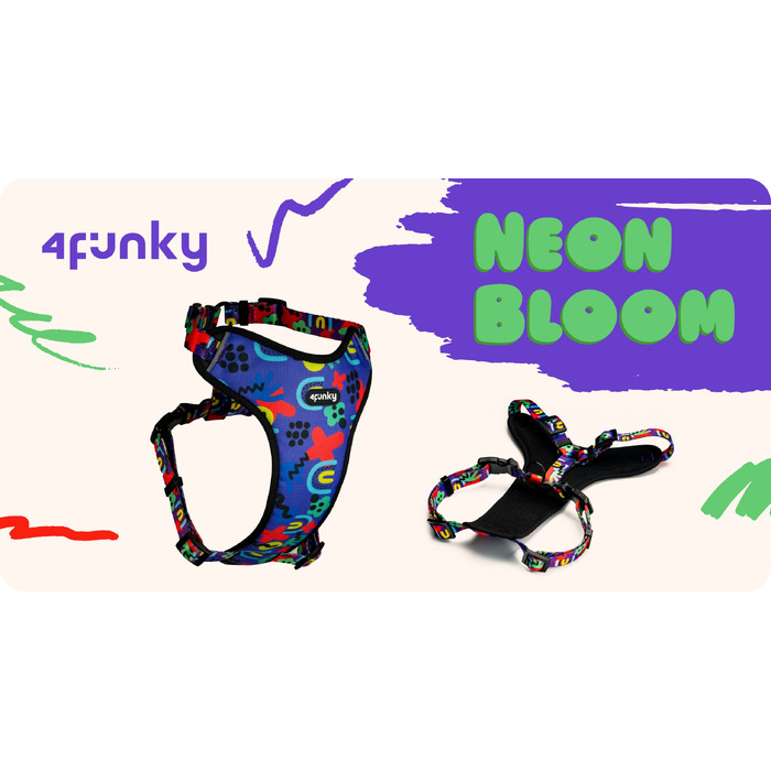Шлейка Guard Comfort Neon Bone | 4Funky | Регульована, для малих собак (розмір S)