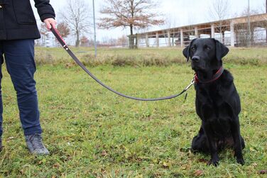 Повідок для великих собак Activity4Dogs, натуральна шкіра, 1 м, 2 см, з м'якою ручкою, преміум якість, чорний з червоним, вироблено в Німеччині