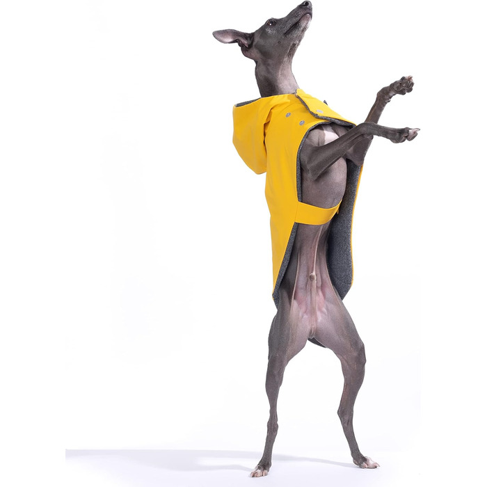 Водонепроникний дощовик Yigi з капюшоном та отвором для шлейки, з флісовою підкладкою, теплий, дихаючий пончо для собак, куртка для італійських віндхундів (X-Large)