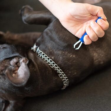 Набір для грумінгу тварин: щітка для собак та котів, XL роликовий збирач ворсу, щипці для видалення кліщів. Підходить для довгої та підшерсткової шерсті. Ефективно видаляє шерсть.