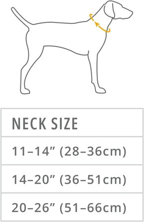 Нашийник для собак RUFFWEAR Top Rope, міцний нейлоновий, розмір M (36–51 см), колір Basaltgrau (Blue Pool), для прогулянок