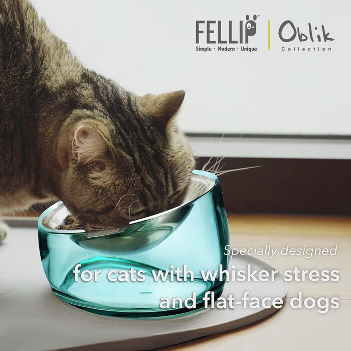Felli Pet піднята миска для котів з нержавіючої сталі, антивтомна, антивиливна, кутова, плоска, проти блювання, акрилова підставка, для кошенят та цуценят