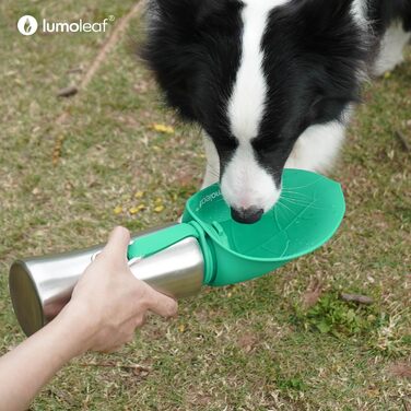 ЛьюмоЛіф - пляшка для води для собак, 800 мл, нержавіюча сталь, портативна, для подорожей, хандер, кемпінг (зелена)