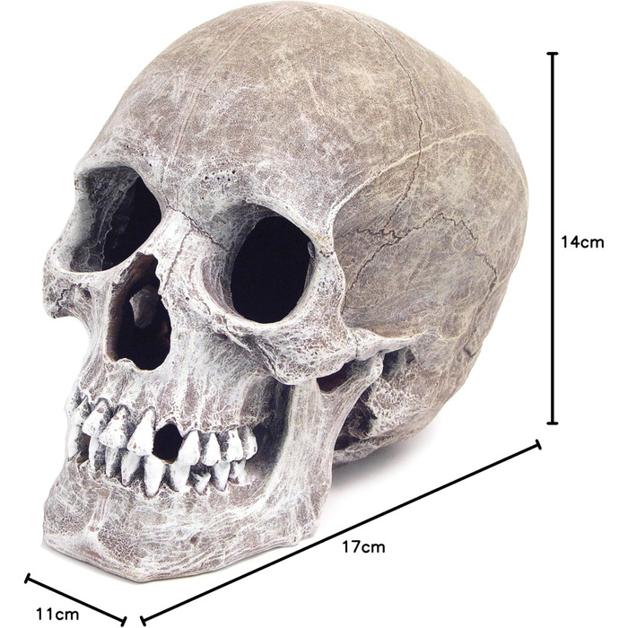 Декорація для акваріума Blue Ribbon Rosewood - Реалістичний череп людини, 15.2 x 20.3 x 15.2 см