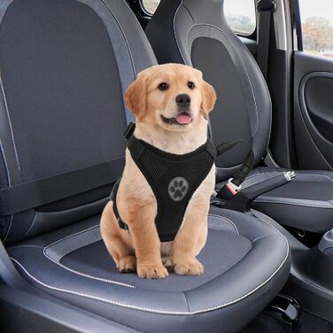 Нашийник для собак NiCola з кріпленням для автопасків, чорний. 2 шт., регульований, для подорожей та повсякденного використання (XS)