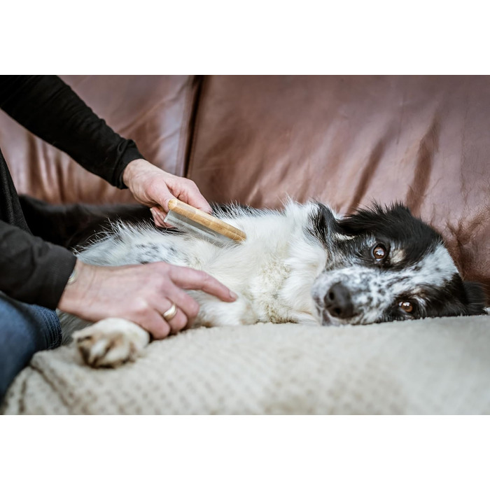 Щітка для грумінгу собак та котів Mikki Bambus Kinge - видаляє лупу та підшерстя, з антикорозійних сталевих зубів, велика (мала)