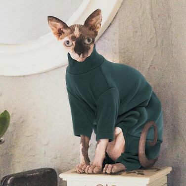 Костюм для котів Sphynx, чотириногий светр після операції, одяг для котів Hjyokuso, пуловер для Sphynx, Cornish Rex, Devon Rex, Peterbald