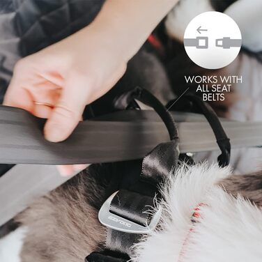 Автомобільна захисна шлея для собак EzyDog Drive, протестована на зіткнення, розмір M, чорна – найкраща шлея для авто, ремінь безпеки для собак