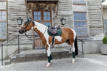 Kentucky Horsewear Schabracke Velvet Pearls - підкова для коня, розмір SR, колір Pine Green