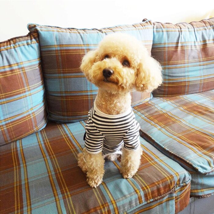 Захисний боді для собак після операції Kukater: захист ран, алергії, линька (XL, чорно-білі смуги)