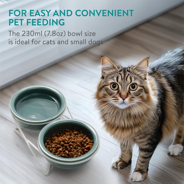 Керамічна миска для котів Navaris з металевим підставкою - Підвищена миска для котів - Миска для котів з кераміки - Підвищена миска для котів - Годівниця для котів - Безпечна для миття в посудомийній машині та мікрохвильовці Білий/Зелений