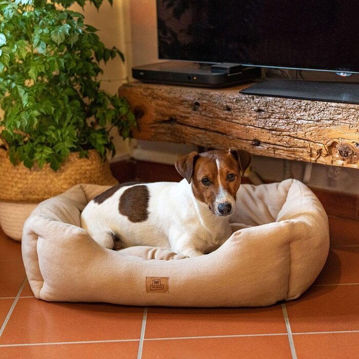 Клітка-ліжко для собак та котів Ferplast Coccolo, Microfleece, бежева (M, 66x50x20 см)