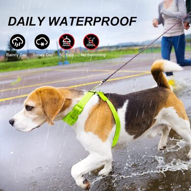 LED нашийник для собак PZRLit, світловідбиваючий, світлодіодний, м'який, регульований, перезаряджається (зелений, Extra Large)