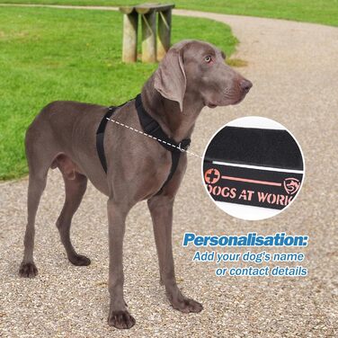 Шлейка для собак FEimaX для великих собак, тактична, не тягне, чорна, XL. Зручна, дихаюча, міцна, з м'якою підкладкою