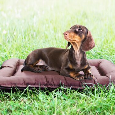 Крісло-ліжко для собак та котів, розмір L (95 x 65 см)