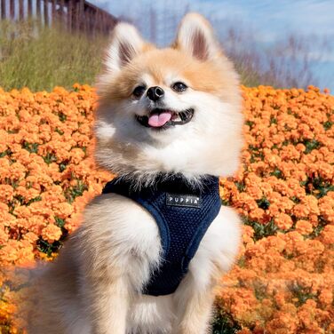 Нагрудник для собак Puppia, розмір S, темно-синій (Navy) - м'яка жилетка для малих та середніх собак, підходить для цуценят, анти-тягнучий нашийник