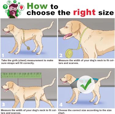 Підкладкова регульована куртка для собак, обігріваюча жилетка для собак з LED-підсвічуванням, зручна та вітронепроникна куртка для маленьких та середніх собак (XL, Синій та Сірий) XL Синій та Сірий