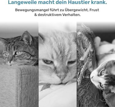 Автоматична іграшка для котів PetTec® з лазерним вказівником та м'ячиком (2 шт.) - інтерактивна іграшка для котів, 24/7 зайнятість