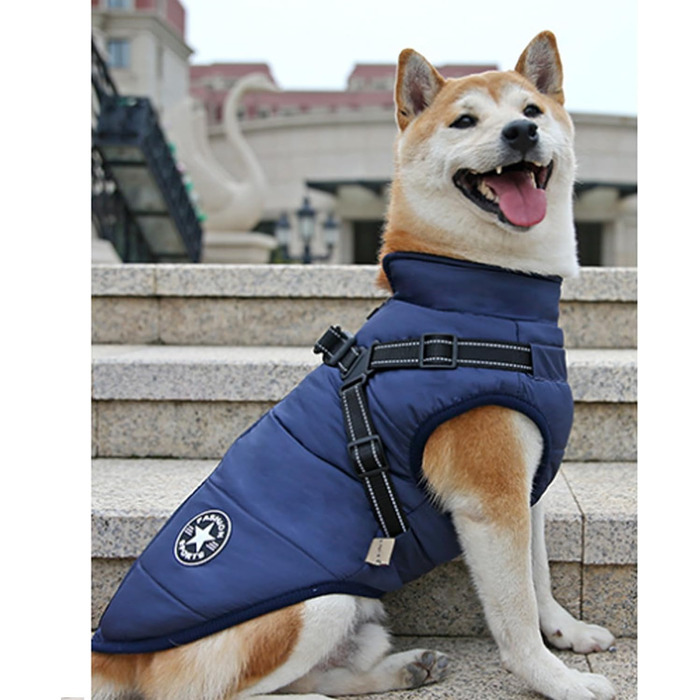 Водонепроникний жилет для собак на зиму Ectkuee, для маленьких собак, з D-порогом, блакитний (M)