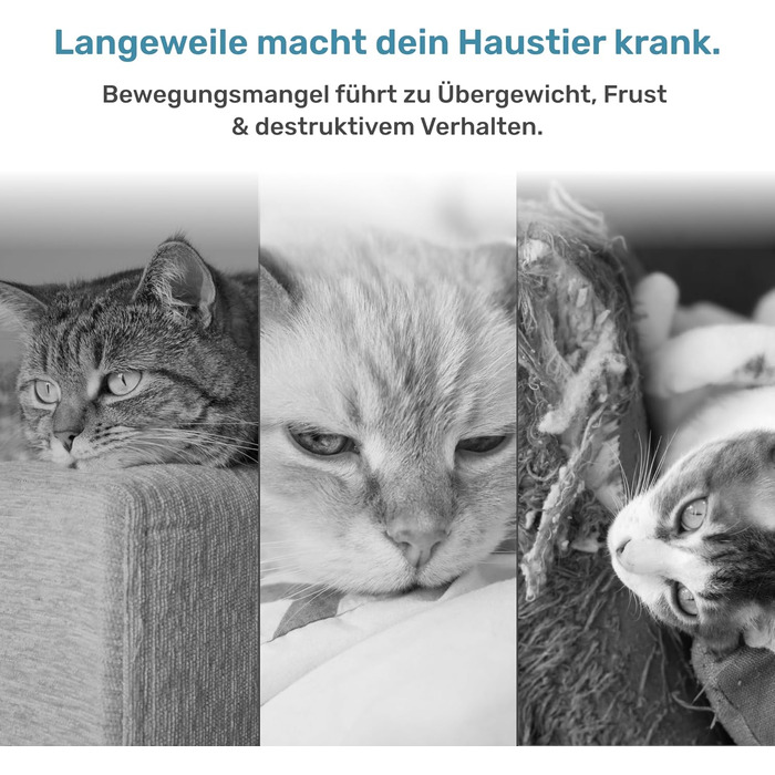 Автоматична іграшка для котів PetTec® з лазерним вказівником та м'ячиком (2 шт.) - інтерактивна іграшка для котів, 24/7 зайнятість