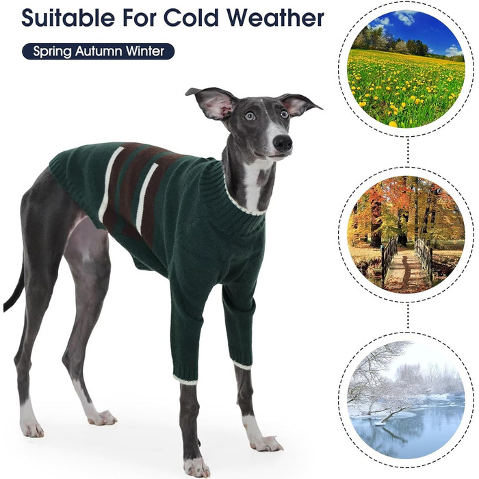 Светр з капюшоном для собаки Windhund, теплий італійський грехаунд, віппет, термо одяг для собак, зелений, XS
