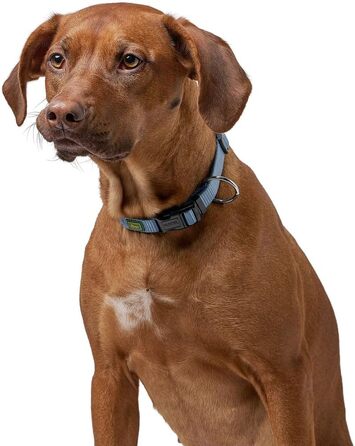 Нашийник для собак Hunter Vario Plus, сірий, M-L/2.0, надійна застібка, комфортний