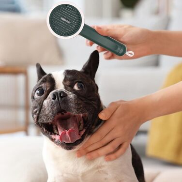 Гребінець для котів Slicker Brush – проти випадіння шерсті | Антиковзаюча щітка з функцією UV та висувним ножем для купання та подорожей, білий (зелений)