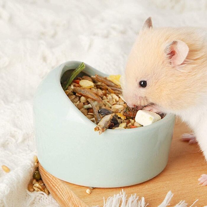 Набори керамічних годівниць для хом'яків, рептилій та черепах RoadLoo (3 шт.)