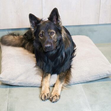 Килимок для собак 4L Textil ZOE: м'який, зручний, з блискавкою, для великих собак, з можливістю прання (графіт, смужки)