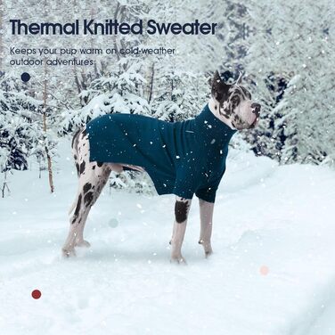 Пуловер для собак IECOii: теплий, стильний, для малих, середніх та великих порід. Зігріваючий зимовий пуловер з високим коміром для собак та котів. Колір: зелений, розмір: XX-Large (DeepWaterOrchidee)