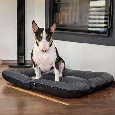 Крісло-ліжко для собак середніх порід Ella від 4L Textil: водостійке, з штучної шкіри, 90x70 см, графіт