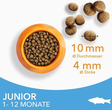 Сухий корм для кошенят IAMS з морською рибою, для віку від 1 до 12 місяців, 3 кг