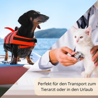 Транспортний бокс для собак, котів, кроликів: переноска для авто з великою кількістю отворів та надійним замком