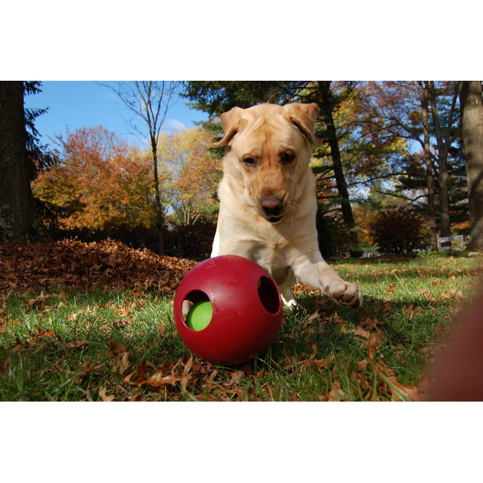 Іграшка для собак Jolly Pets Teaser Ball 20 см, червона