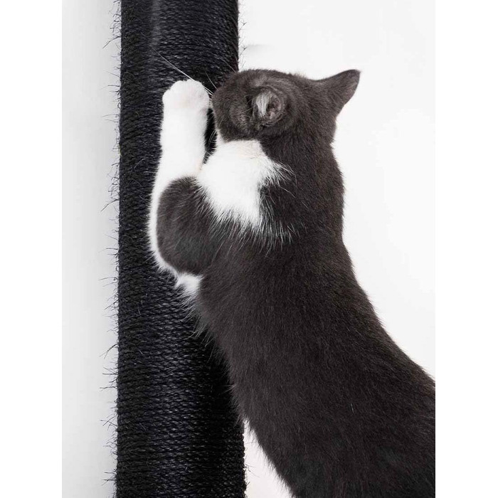 Дряпка для котів Petrebels Maine 90 см, з міцною основою та сизалевим стовпчиком, 40 x 40 x 90 см, чорного кольору