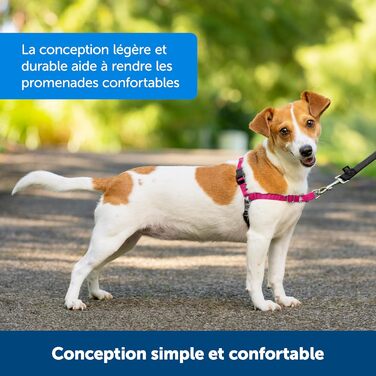 Шлейка для собак PetSafe Easy Walk чорна, середній/великий розмір