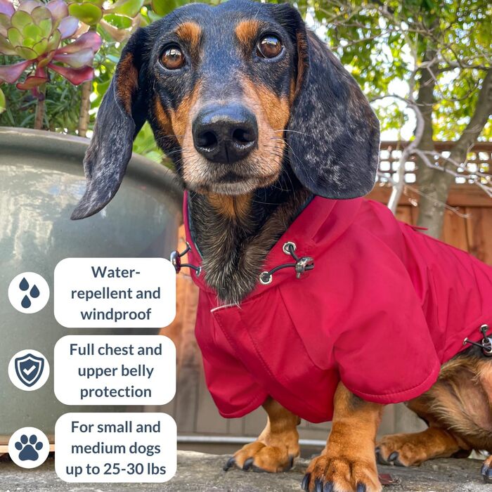 Водонепроникний собачий дощовик DJANGO Highland з капюшоном, оливковий, розмір M, для малих та середніх собак, з отвором для шлейки, зручний підклад, кишеня на спині