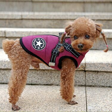 Зимовий жилет для собак Ectkuee з кріпленням для повідка, водонепроникний, з світловідбиваючими смугами, машинне прання, D-Ring (зелений, фіолетовий), XXL