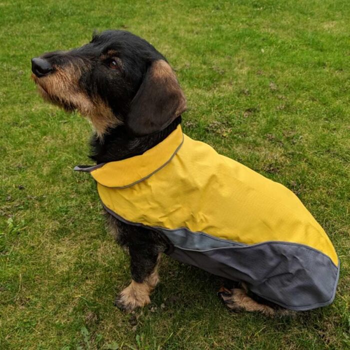 Жовтий теплий зимовий одяг для собак XL, водонепроникна куртка з флісовою підкладкою