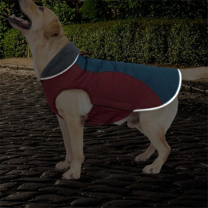 Водонепроникний зимовий одяг для собак - тепла куртка з бавовняним захистом для живота, для малих, середніх та великих собак (Морський, M)