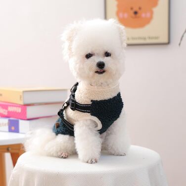 Зимовий теплий одяг для собак, вітронепроникний, з флісовою підкладкою, жилет з отвором для шлейки, для малих та середніх тварин, зелений та білий, для прогулянок та активного відпочинку