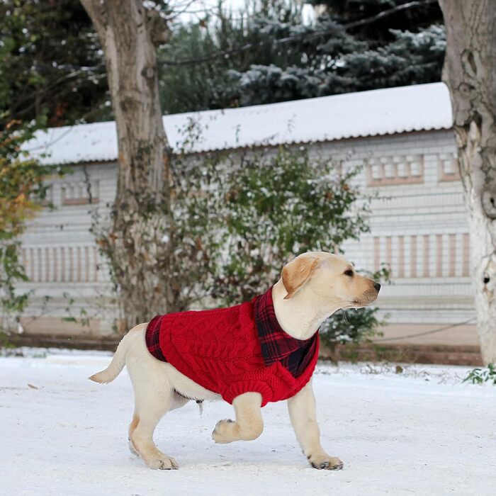 Теплий собачий светр у клітинку з коміром-горловиною та отворами для повідка – зимовий одяг для собак маленьких, середніх та великих порід. Светр для котів на Різдво, червоний, розмір M, червоний