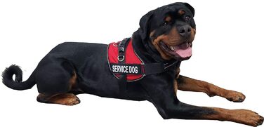 Шлея для собак ActiveDogs Air-Tech XL, Cordura, червона, з ручкою, ADA-картками та світловідбивними нашивками для сервісних собак (73,7-101,6 см)