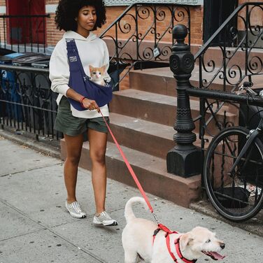 Транспортна сумка для собак та котів з плечовим ременем, для маленьких собак, для подорожей на відкритому повітрі, блакитна