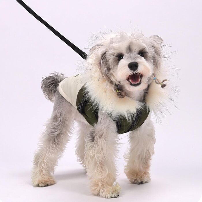 Водонепроникний жилет для собак з капюшоном, теплий жилет з шлейкою для собак, зима, теплий та м'який, S-3X (M, Зелений)