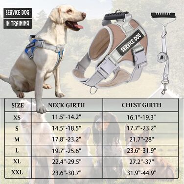Сервісна жилетка Dogmify для собак, тренувальна шлейка з повідцем 1,5 м, регульована, відбивна, не натирає, для середніх і великих порід, нейлон, колір хакі
