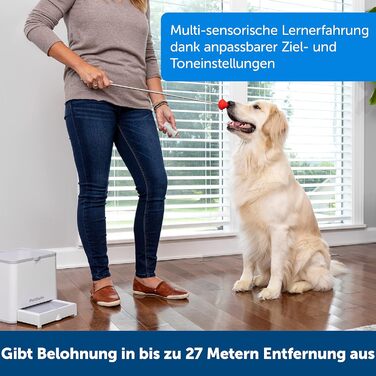 PetSafe Teach & Treat – дистанційний тренер для собак, автоматична видача ласощів, для навчання та позитивного підкріплення, сірий, працює від 4 батарейок D