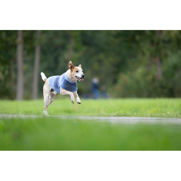 Волтерс: Пуловер з трикотажу, розмір 35 см